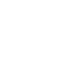one ico 
