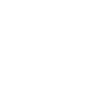 one ico 