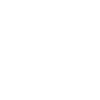 one ico 