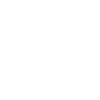 one ico 