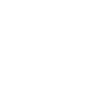 one ico 