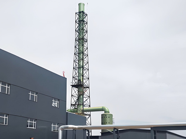 Emission Reduction  Boiler Flue Gas Treatment for a Chinese Company